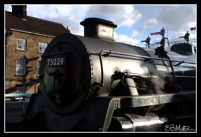 75029 at Grosmont: Photograph by Steve Milner